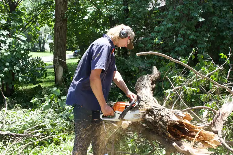 Kindred Tree Service crew removing a large limb section by section on a Kansas property
