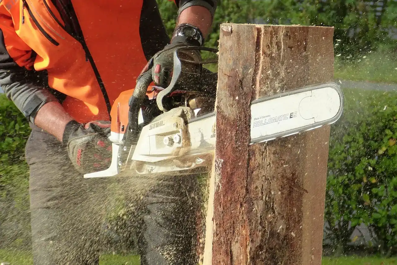 Worker in orange safety gear driving a chainsaw through a standing trunk as sawdust flies