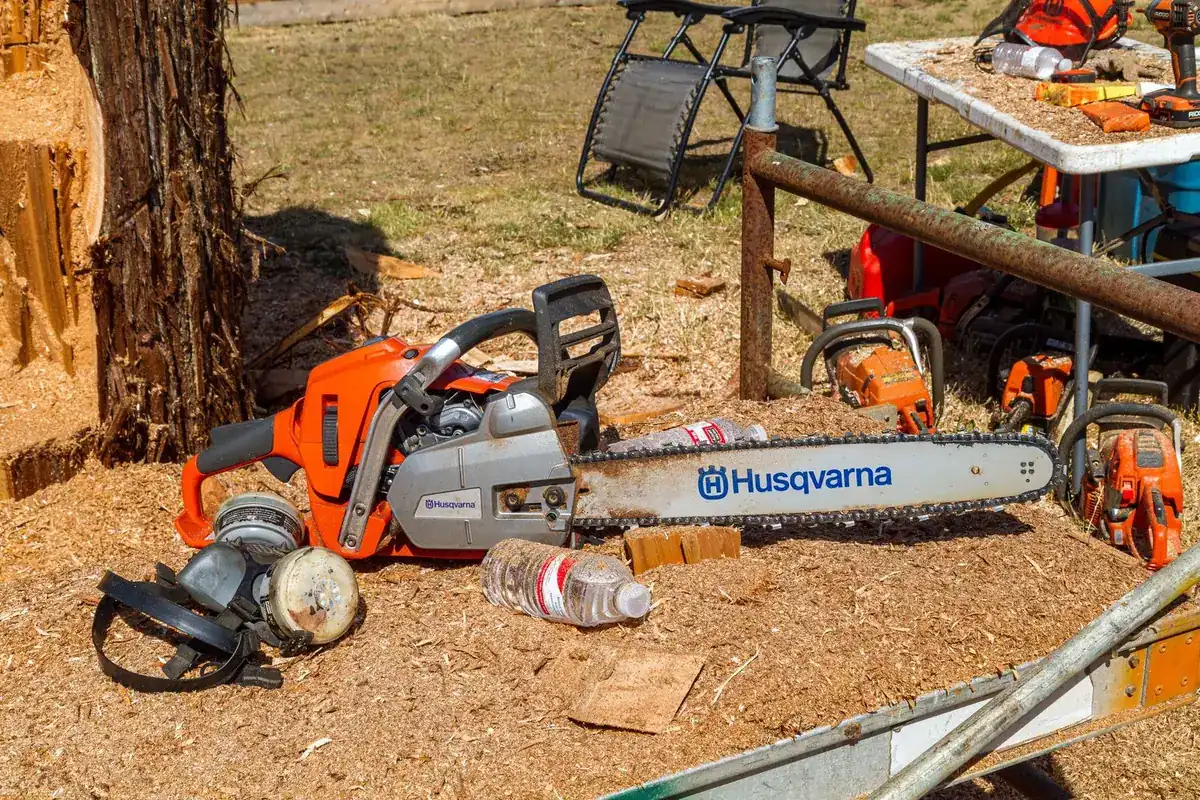 Chainsaws, ear protection and gear laid out on a truck bed at a tree job with sawdust everywhere