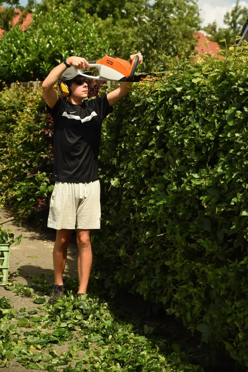 Worker reaching overhead with a long-bar hedge trimmer to level the top of a hedge