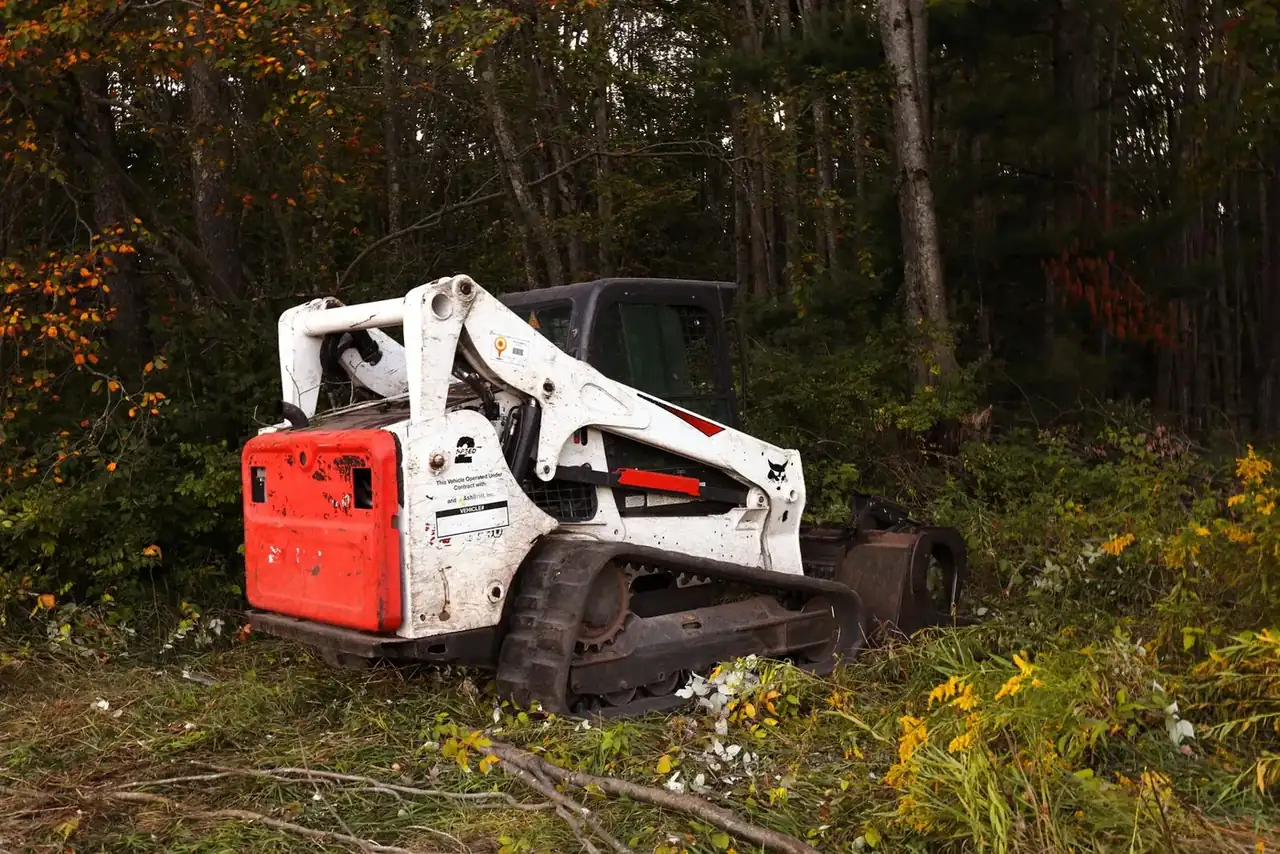 Compact track loader parked in a fresh clearing surrounded by autumn hardwoods