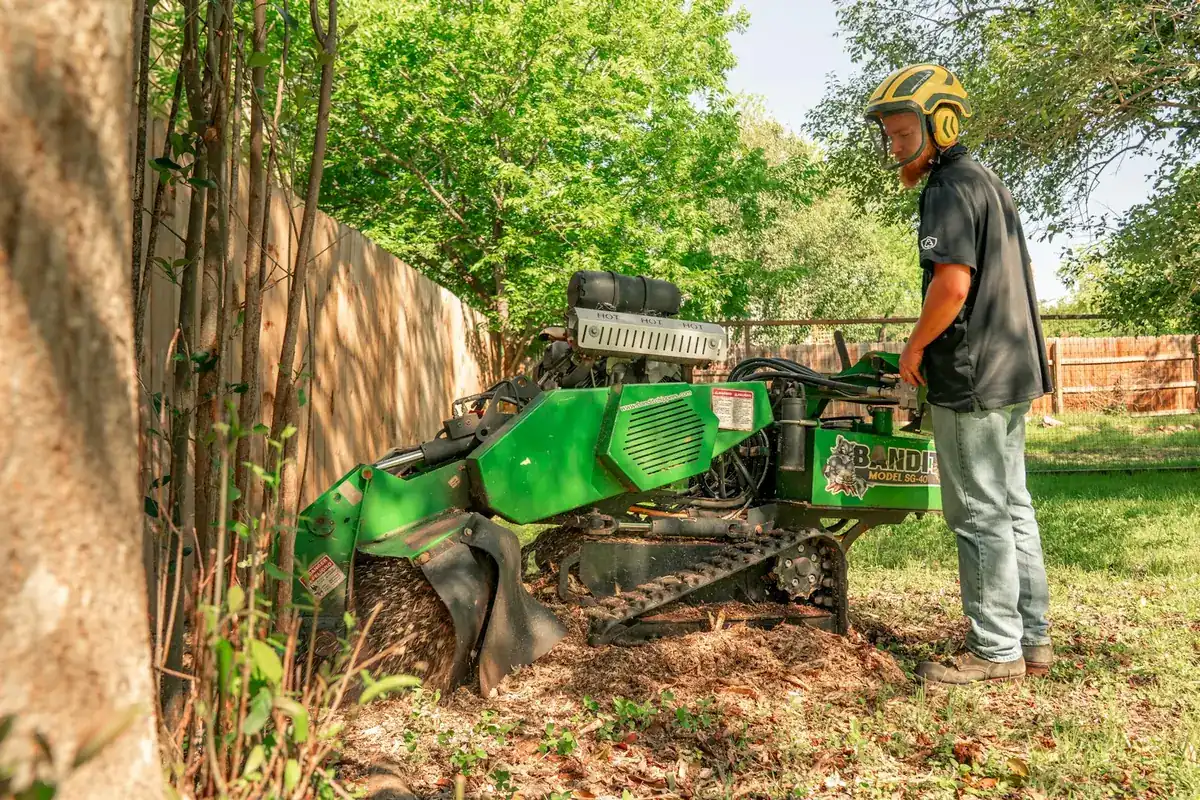 Operator running a tracked stump grinder against a stump at a fence line with chips piled around the cutting wheel